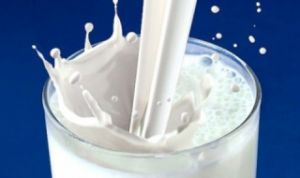 Събрание на асоциацията на млекопреработвателите