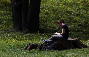 Слънчева неделя