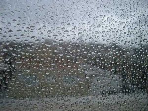 Дъждовно и студено